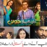 Top 17 Upcoming Pakistani Dramas in 2024