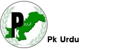 pk urdu logo