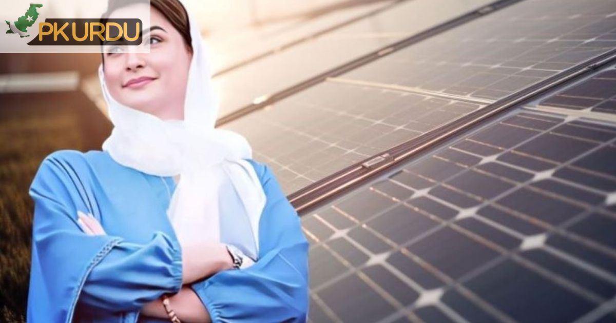 Beware of Fake Website Claiming Free Solar Panels in Punjab: Official Warning